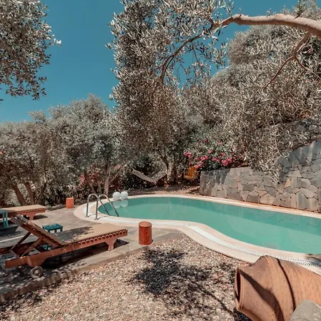 Villa 5 Star With First Class Amenities Mugla 1001