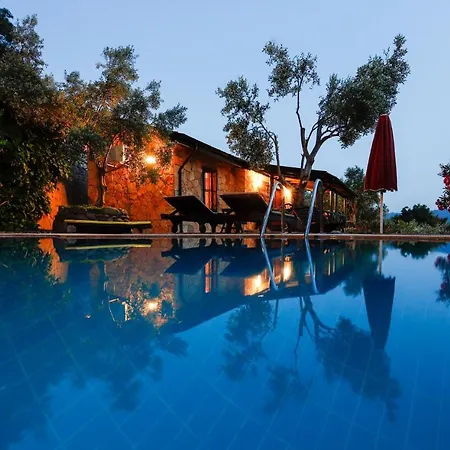 Villa 5 Star With First Class Amenities Mugla 1001 *